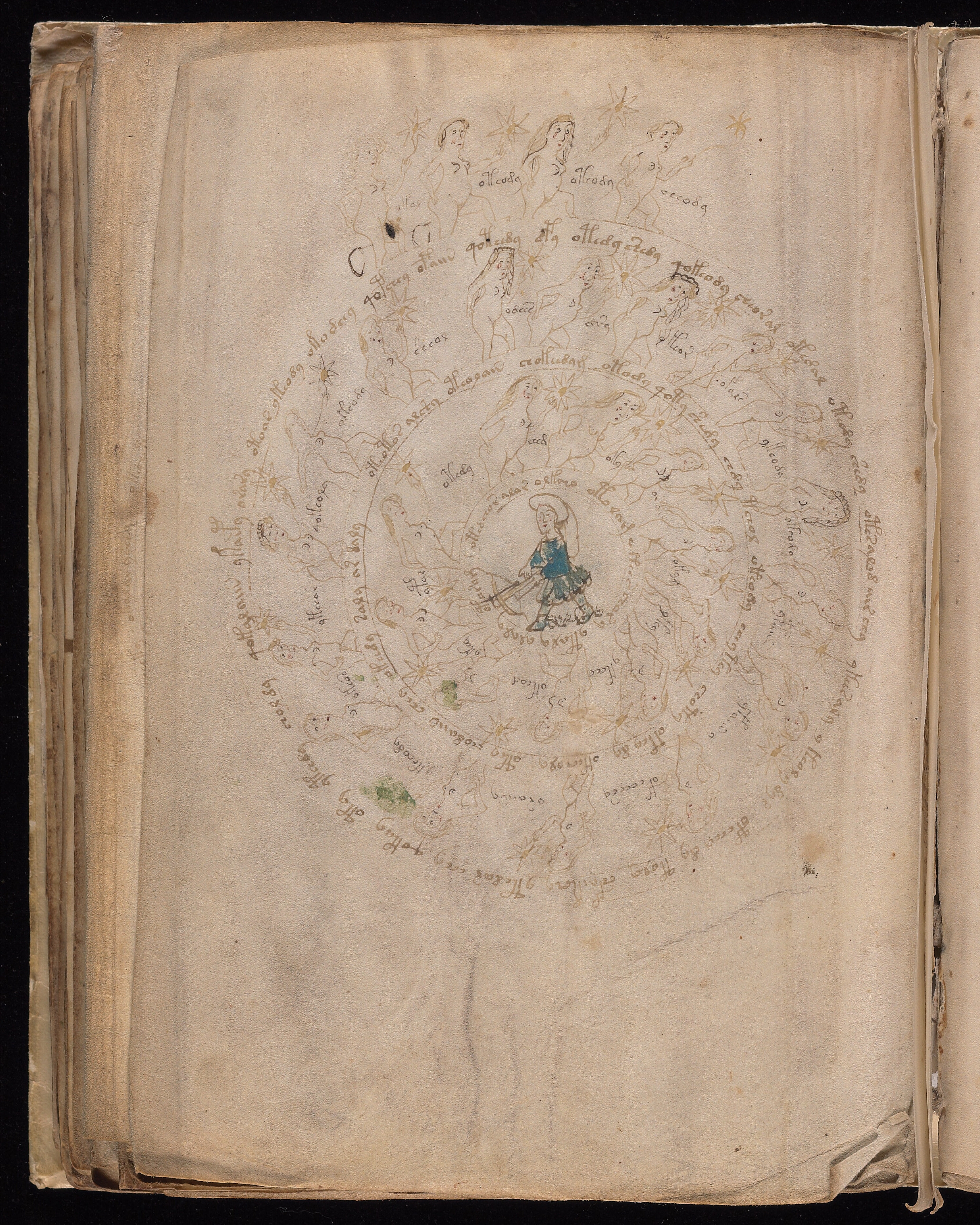 The Pregnancy Wheel - Folio 134