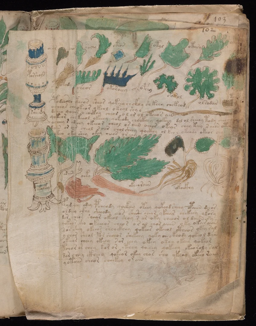 Apothecary Page - Folio 102